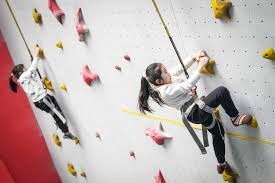 MLB联盟讨论扩大国际赛影响力